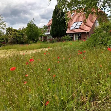 Haus Rosengarten- Ruhige Ferienwohnungen Im Gruenen Sehlen Kültér fotó