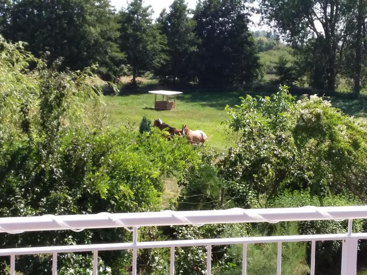 Haus Rosengarten- Ruhige Ferienwohnungen Im Gruenen Sehlen Kültér fotó