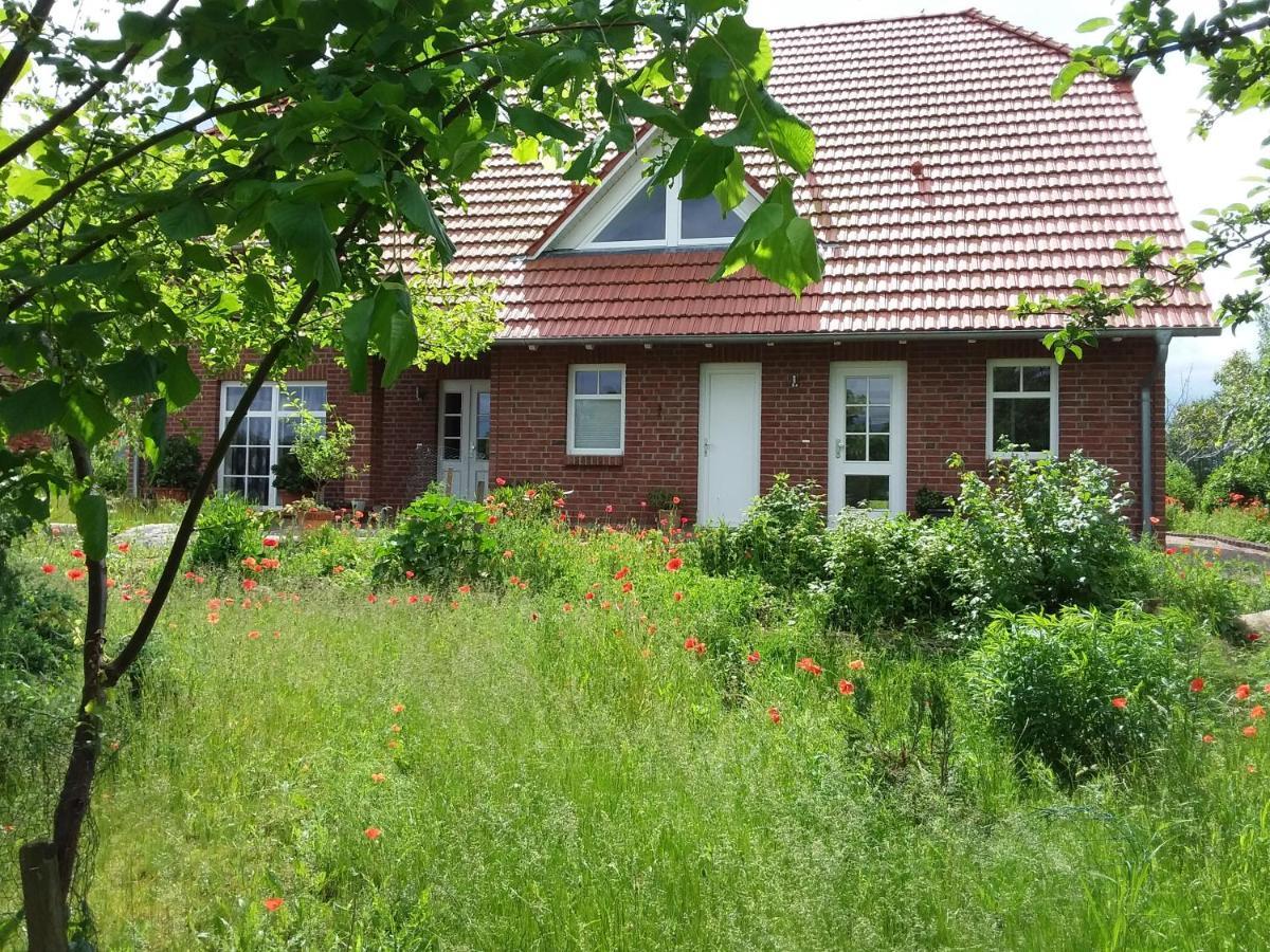 Haus Rosengarten- Ruhige Ferienwohnungen Im Gruenen Sehlen Kültér fotó