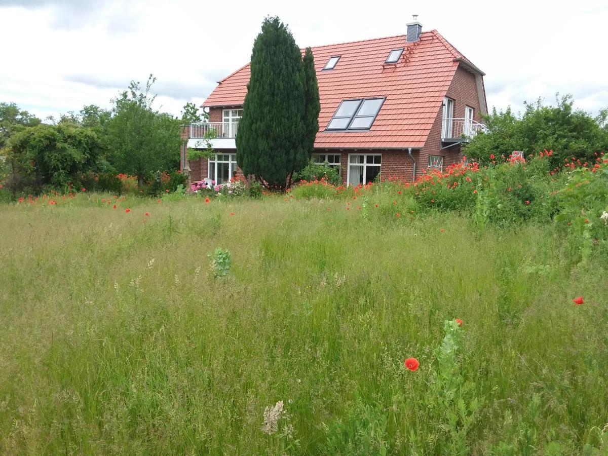 Haus Rosengarten- Ruhige Ferienwohnungen Im Gruenen Sehlen Kültér fotó