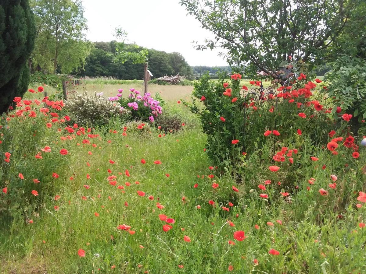 Haus Rosengarten- Ruhige Ferienwohnungen Im Gruenen Sehlen Kültér fotó